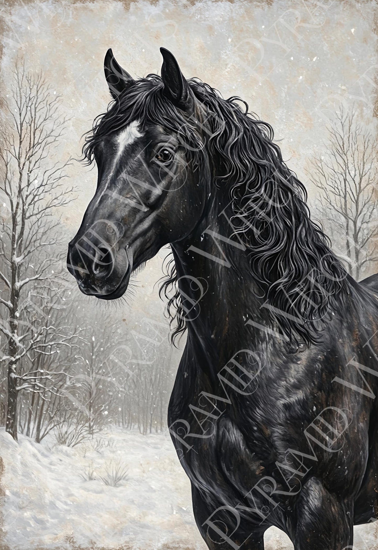 Black Horse Portrait Art Print: Winter Snow Scene