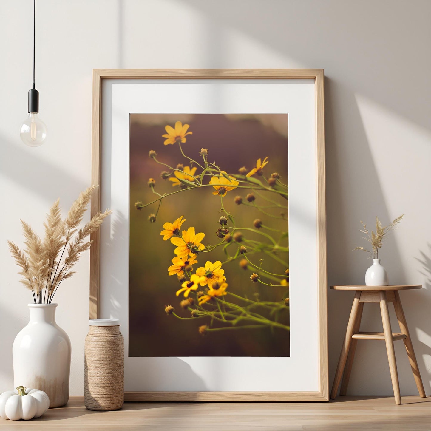 Yellow Daisy Fine Art Print: Nature Photography, Floral Wall Art