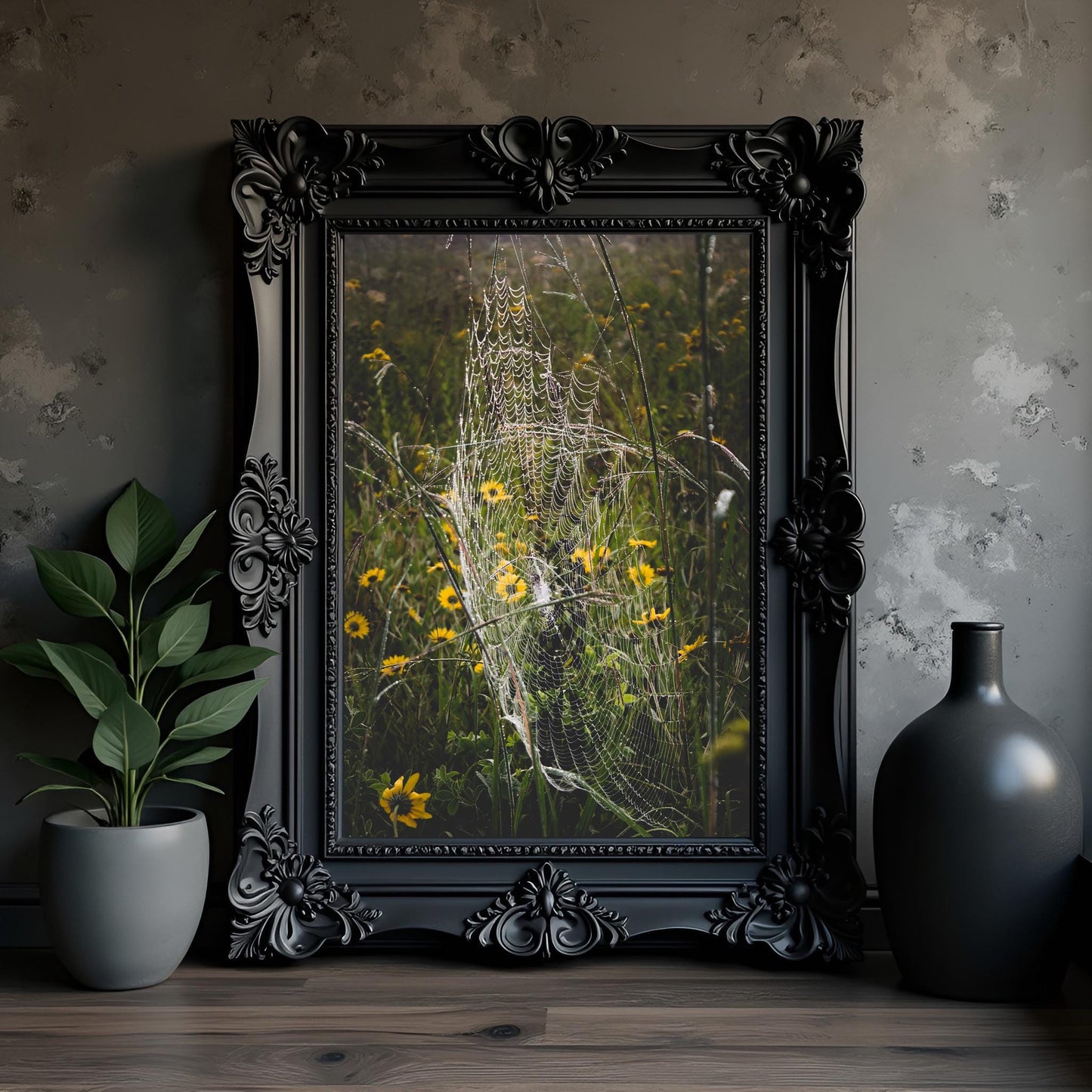 Dewy Spider Web Fine Art Print: Dark Botanical Nature Photography