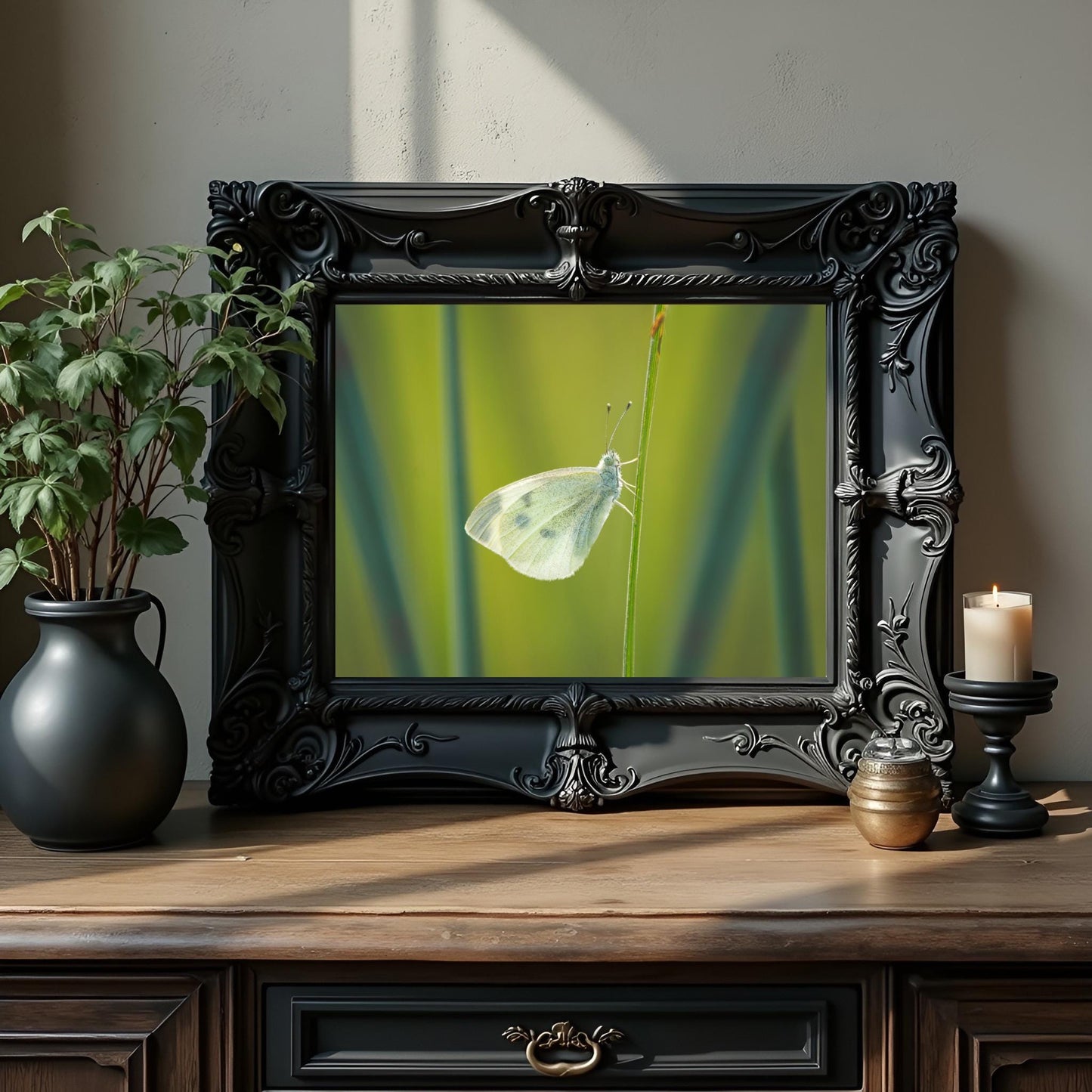 White Butterfly Giclee Print: Fine Art Nature Photography