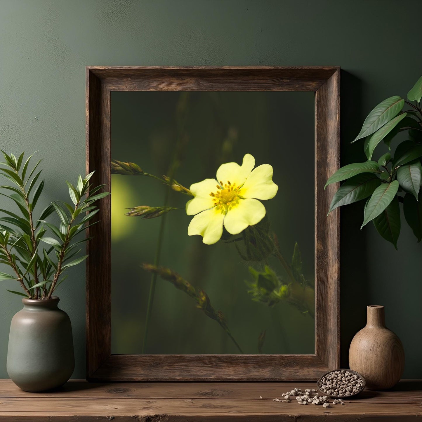 Yellow Flower Fine Art Giclee Print: Dark Botanical Nature Photography